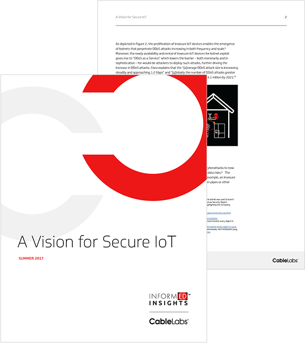 A Vision for Secure IoT