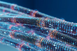 Blog Thumbnail Image