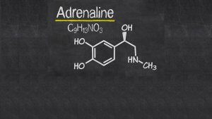 Blog Thumbnail Image